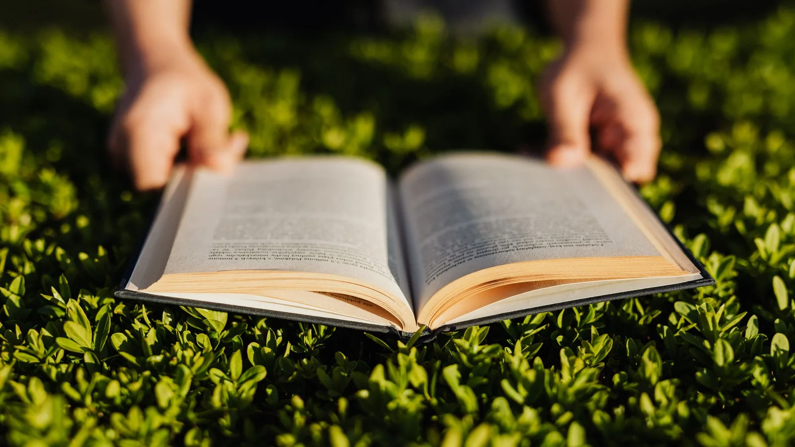 Hands holding an open book over sunlit grass