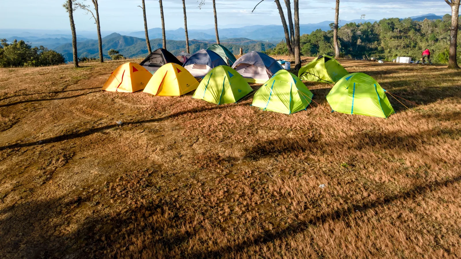 Tents pitched under pine trees at sunrise with hills beyond