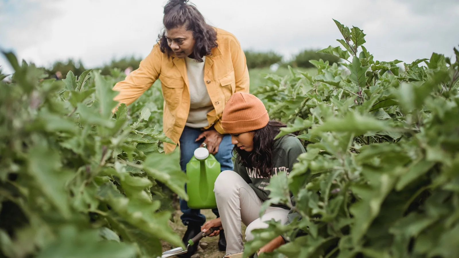 Two people tending vegetables in a garden, one crouching to plant