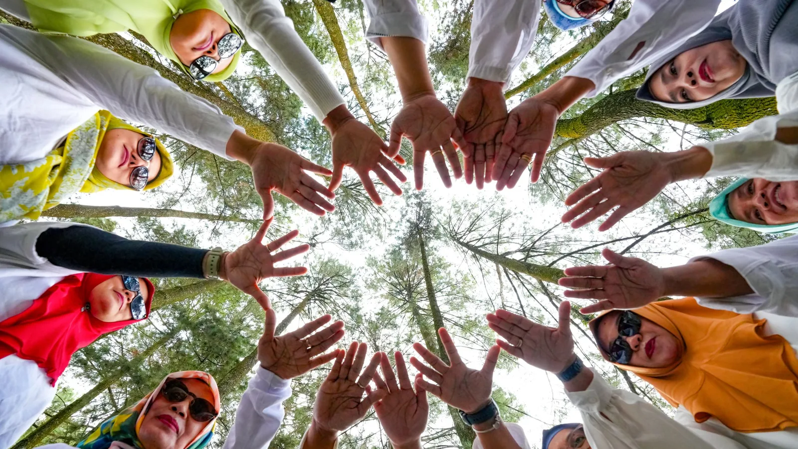 Hands reaching into a circle seen from below, with trees overhead
