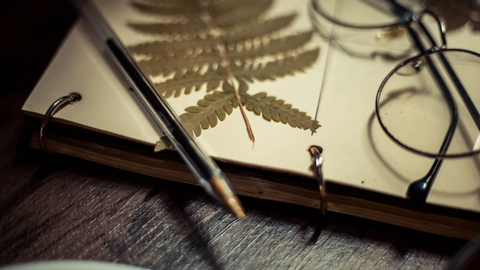 A notebook with a pressed fern leaf, a pen and glasses in warm light