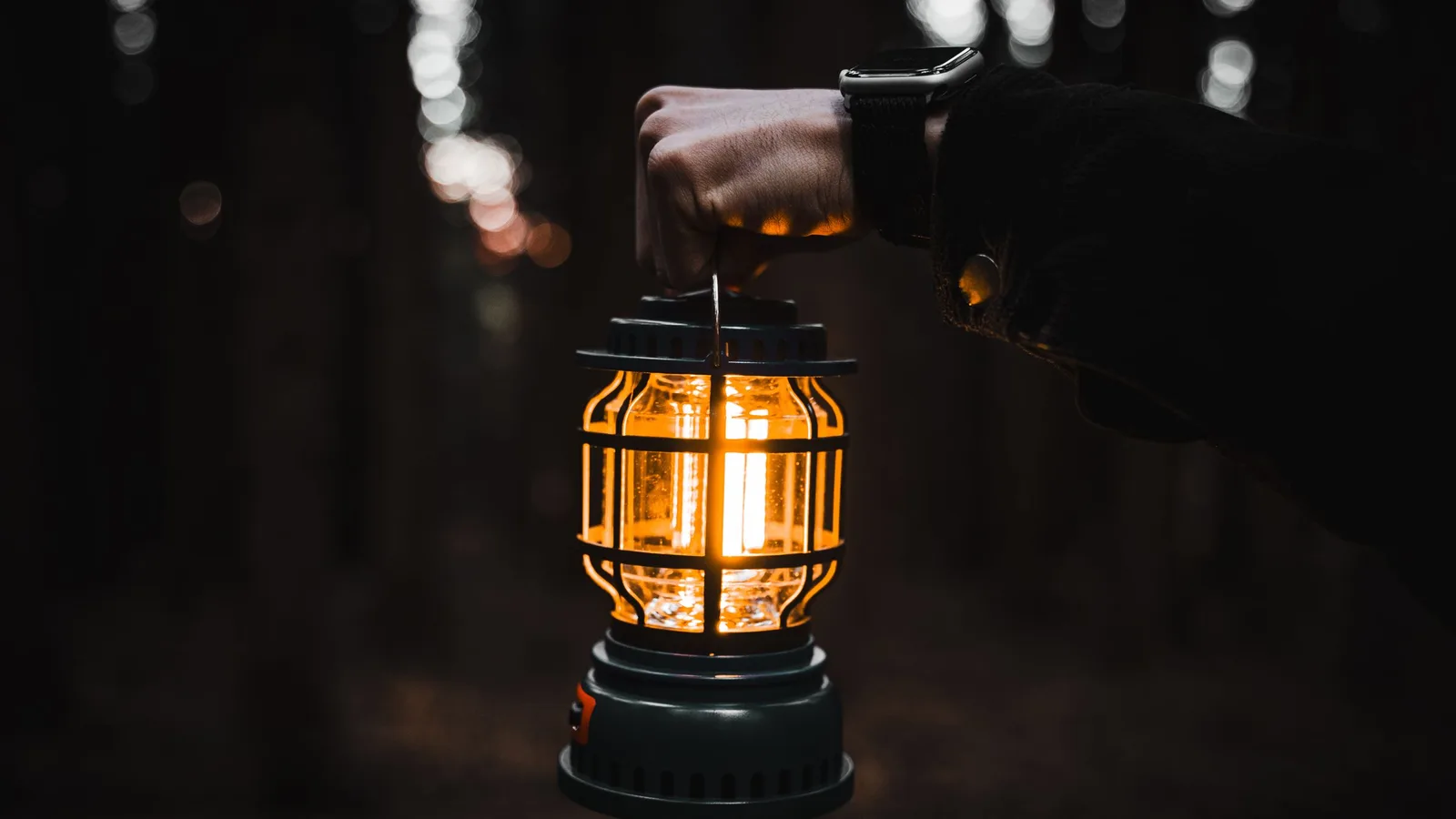 A hand holding a glowing lantern in a dark forest