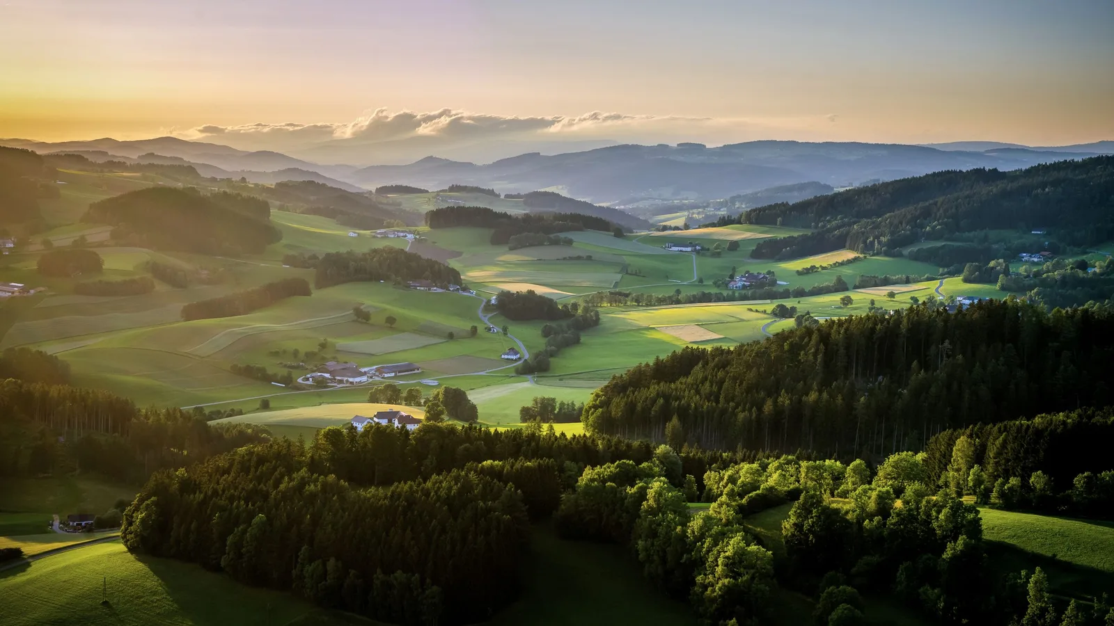 Rolling hills with fields and forest in evening light